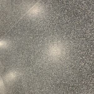 Meet your Posher, Leonardo